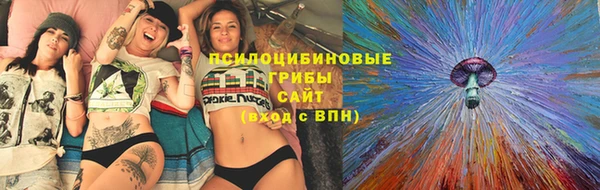 Альфа ПВП Медвежьегорск