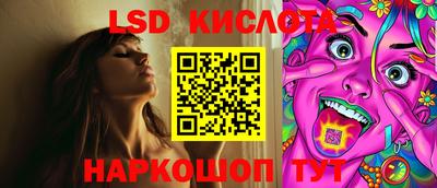 шишки Камышлов