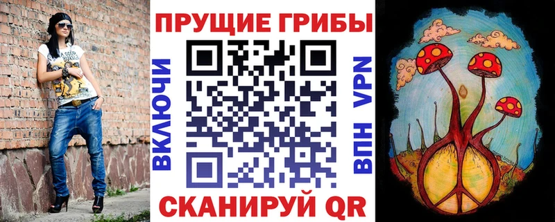 Галлюциногенные грибы мицелий  закладка  Киров 