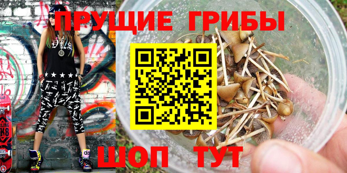 Галлюциногенные грибы мицелий  сколько стоит  Россия  Вход с VPN 