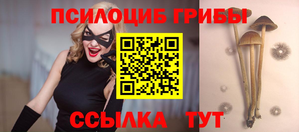 Псилоцибиновые грибы прущие грибы Россия