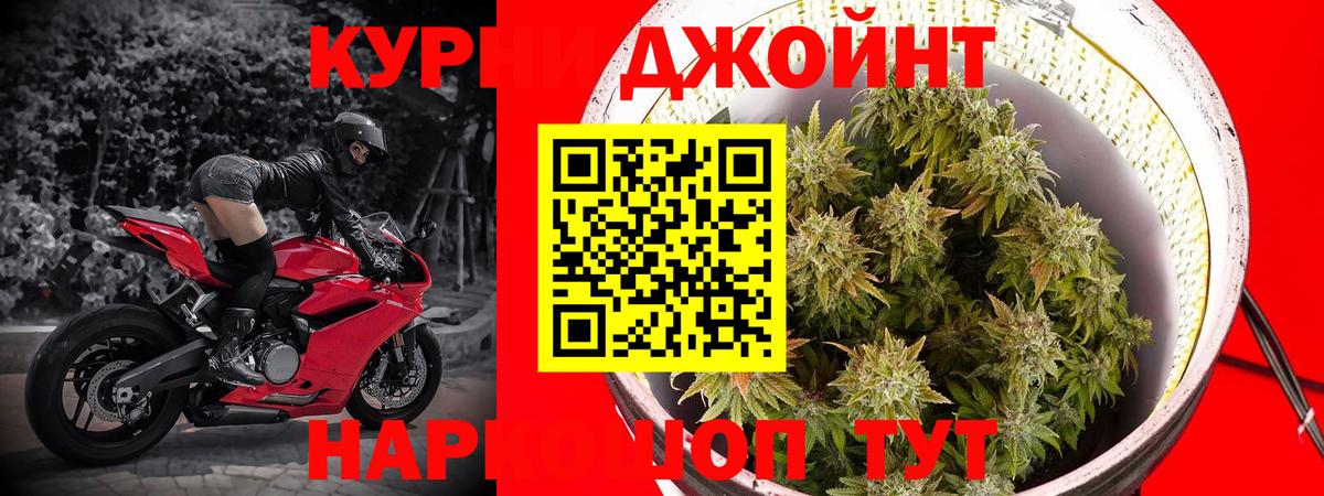 Бошки марихуана Ganja  Бошки марихуана ГИДРОПОН  Россия  Вход с VPN  Конопля White Widow  Конопля планчик 